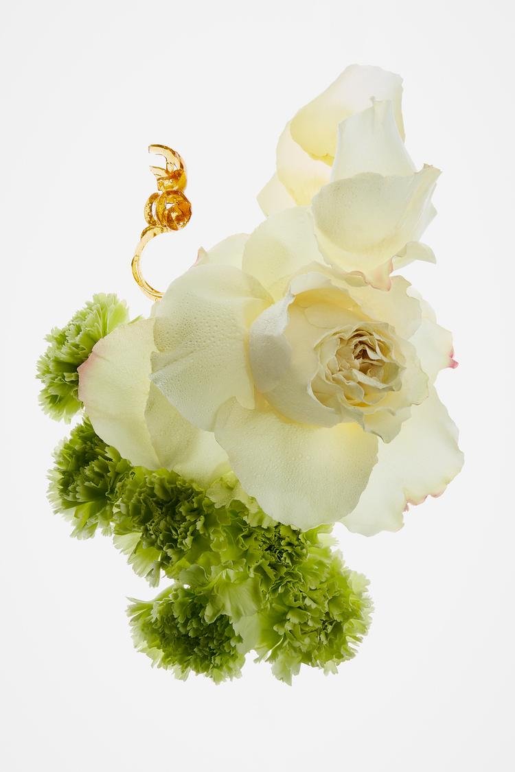 Zara Rose Gourmand 80Ml