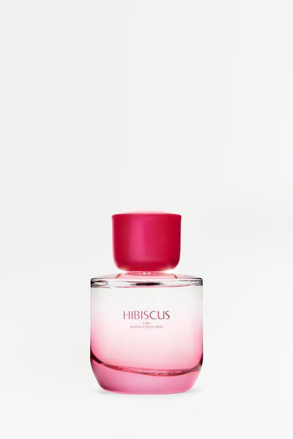 Zara Hibiscus 90Ml
